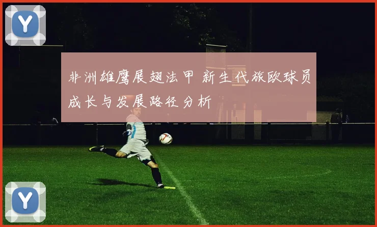 非洲雄鹰展翅法甲 新生代旅欧球员成长与发展路径分析